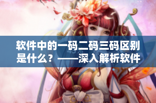 软件中的一码二码三码区别是什么？——深入解析软件编码规范