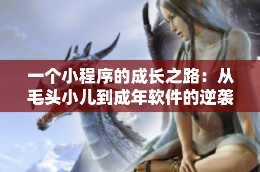 一个小程序的成长之路：从毛头小儿到成年软件的逆袭！