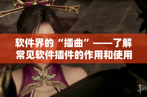 软件界的“插曲”——了解常见软件插件的作用和使用