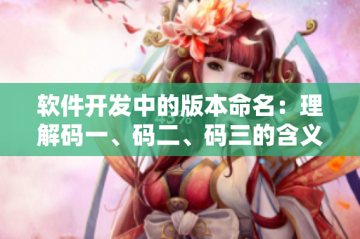 软件开发中的版本命名：理解码一、码二、码三的含义及用途