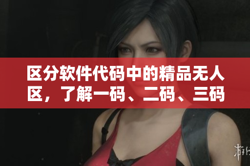 区分软件代码中的精品无人区，了解一码、二码、三码的差异