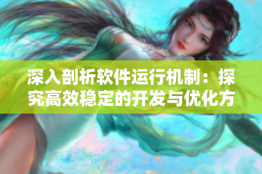 深入剖析软件运行机制：探究高效稳定的开发与优化方法