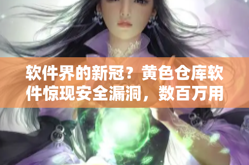 软件界的新冠？黄色仓库软件惊现安全漏洞，数百万用户数据遭泄露！
