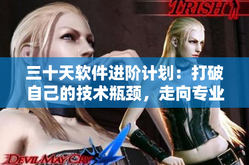 三十天软件进阶计划：打破自己的技术瓶颈，走向专业化