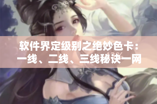 软件界定级别之绝妙色卡：一线、二线、三线秘诀一网打尽！