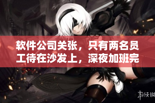 软件公司关张，只有两名员工待在沙发上，深夜加班完成重要软件开发