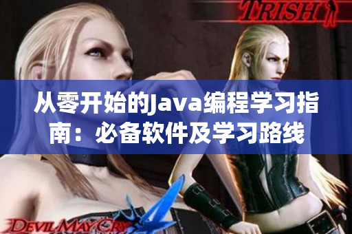 从零开始的Java编程学习指南：必备软件及学习路线