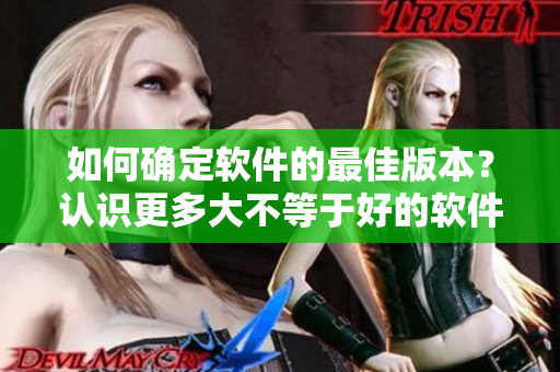 如何确定软件的最佳版本？认识更多大不等于好的软件版本选择技巧！