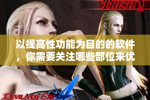 以提高性功能为目的的软件，你需要关注哪些部位来优化？
