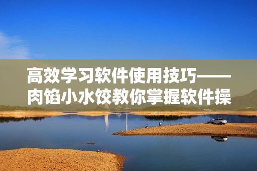 高效学习软件使用技巧——肉馅小水饺教你掌握软件操作