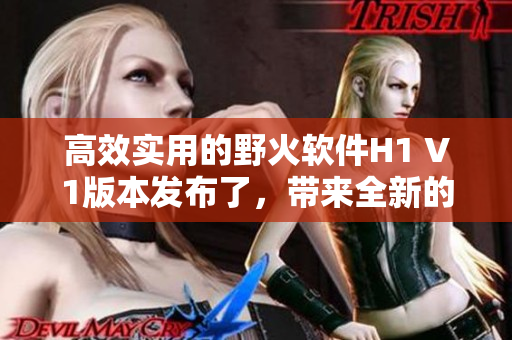 高效实用的野火软件H1 V1版本发布了，带来全新的软件体验