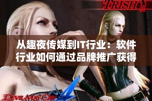从趣夜传媒到IT行业：软件行业如何通过品牌推广获得成功？