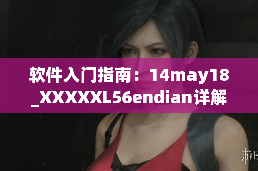软件入门指南：14may18_XXXXXL56endian详解