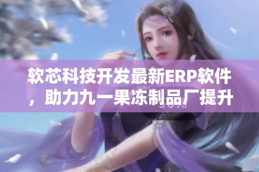 软芯科技开发最新ERP软件，助力九一果冻制品厂提升生产效率