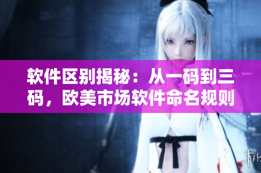 软件区别揭秘：从一码到三码，欧美市场软件命名规则解析