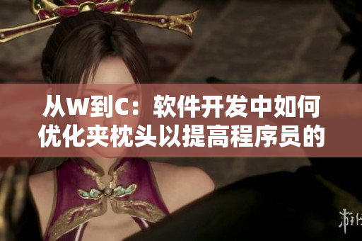 从W到C：软件开发中如何优化夹枕头以提高程序员的生产力