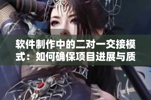 软件制作中的二对一交接模式：如何确保项目进展与质量
