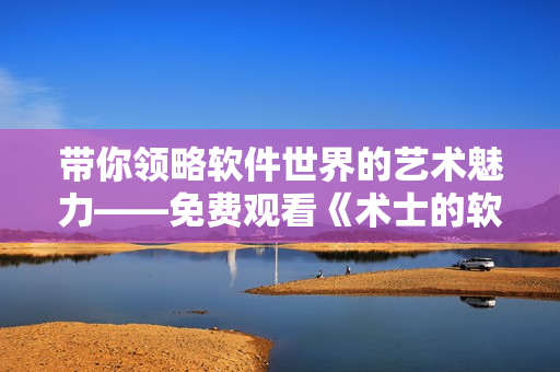 带你领略软件世界的艺术魅力——免费观看《术士的软件人生》