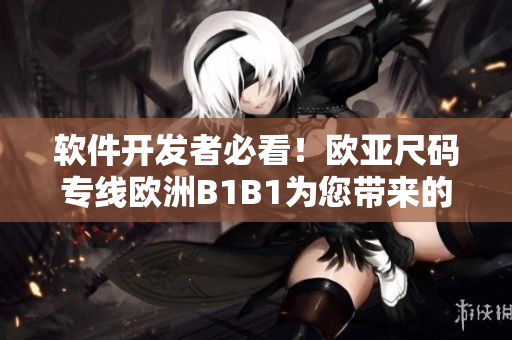 软件开发者必看！欧亚尺码专线欧洲B1B1为您带来的尺码转换软件