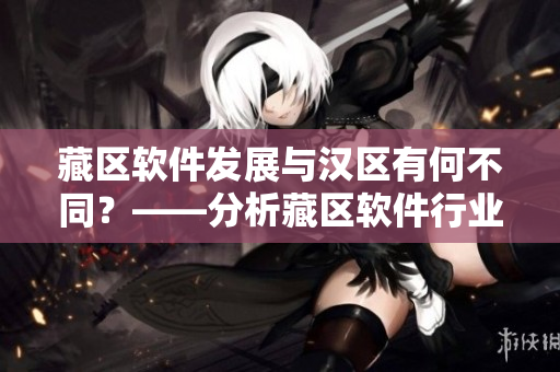 藏区软件发展与汉区有何不同？——分析藏区软件行业的现状与发展趋势