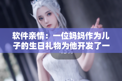 软件亲情：一位妈妈作为儿子的生日礼物为他开发了一款定制化软件