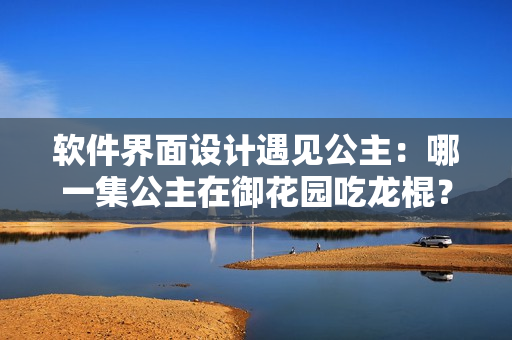 软件界面设计遇见公主：哪一集公主在御花园吃龙棍？