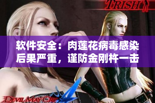 软件安全：肉莲花病毒感染后果严重，谨防金刚杵一击！
