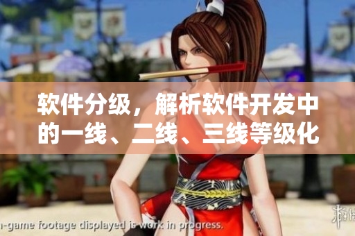 软件分级，解析软件开发中的一线、二线、三线等级化