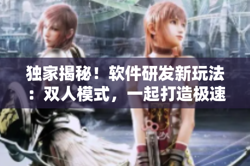 独家揭秘！软件研发新玩法：双人模式，一起打造极速开发的疯狂厨房！