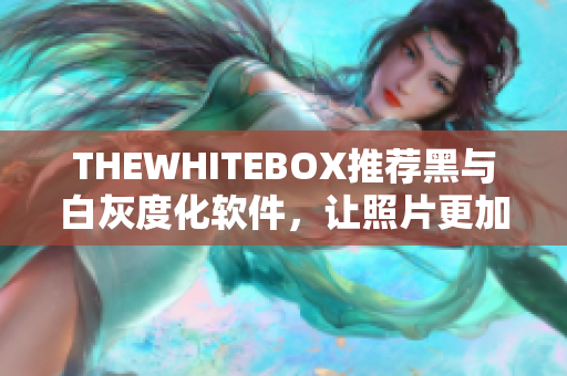 THEWHITEBOX推荐黑与白灰度化软件，让照片更加高雅简约