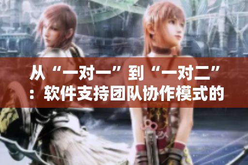 从“一对一”到“一对二”：软件支持团队协作模式的转变