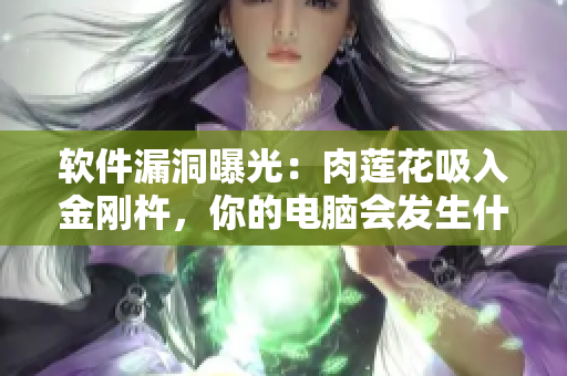 软件漏洞曝光：肉莲花吸入金刚杵，你的电脑会发生什么？