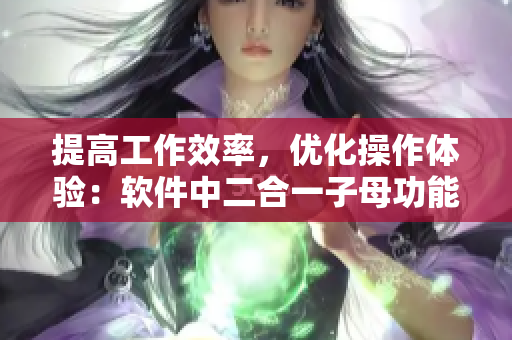 提高工作效率，优化操作体验：软件中二合一子母功能的应用价值