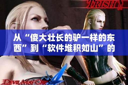 从“傻大壮长的驴一样的东西”到“软件堆积如山”的区别是什么？