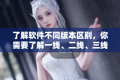 了解软件不同版本区别，你需要了解一线、二线、三线软件的细节