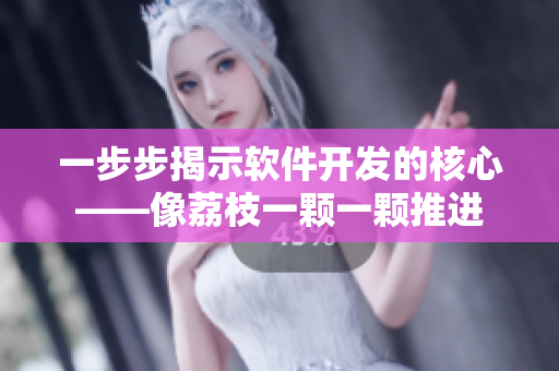一步步揭示软件开发的核心——像荔枝一颗一颗推进