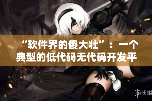 “软件界的傻大壮”：一个典型的低代码无代码开发平台详细介绍