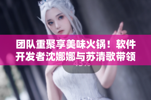 团队重聚享美味火锅！软件开发者沈娜娜与苏清歌带领团队共度美好时光