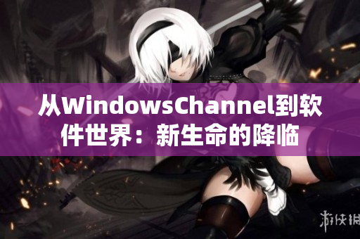 从WindowsChannel到软件世界：新生命的降临