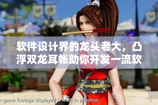 软件设计界的龙头老大，凸浮双龙耳帐助你开发一流软件！