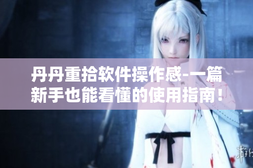 丹丹重拾软件操作感-一篇新手也能看懂的使用指南！
