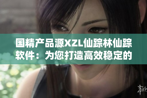 国精产品源XZL仙踪林仙踪软件：为您打造高效稳定的生产力工具