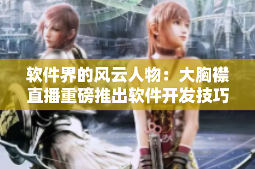 软件界的风云人物：大胸襟直播重磅推出软件开发技巧分享会