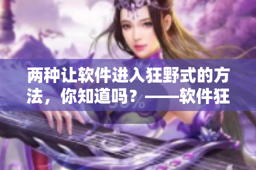 两种让软件进入狂野式的方法，你知道吗？——软件狂野模式！