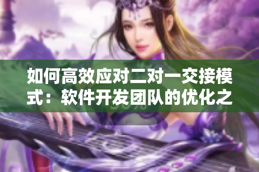 如何高效应对二对一交接模式：软件开发团队的优化之道