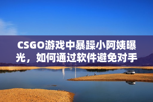 CSGO游戏中暴躁小阿姨曝光，如何通过软件避免对手作弊？