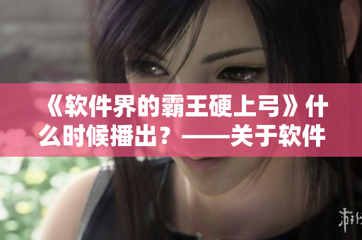 《软件界的霸王硬上弓》什么时候播出？——关于软件办公的生动展现！