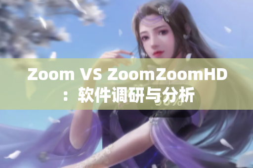Zoom VS ZoomZoomHD：软件调研与分析