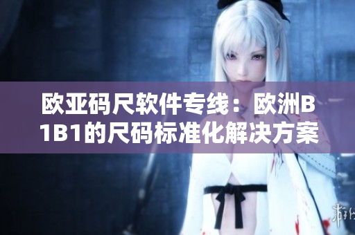 欧亚码尺软件专线：欧洲B1B1的尺码标准化解决方案