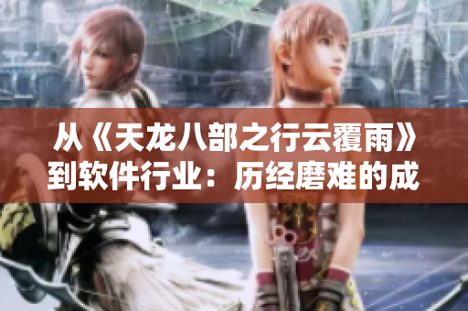 从《天龙八部之行云覆雨》到软件行业：历经磨难的成功之路